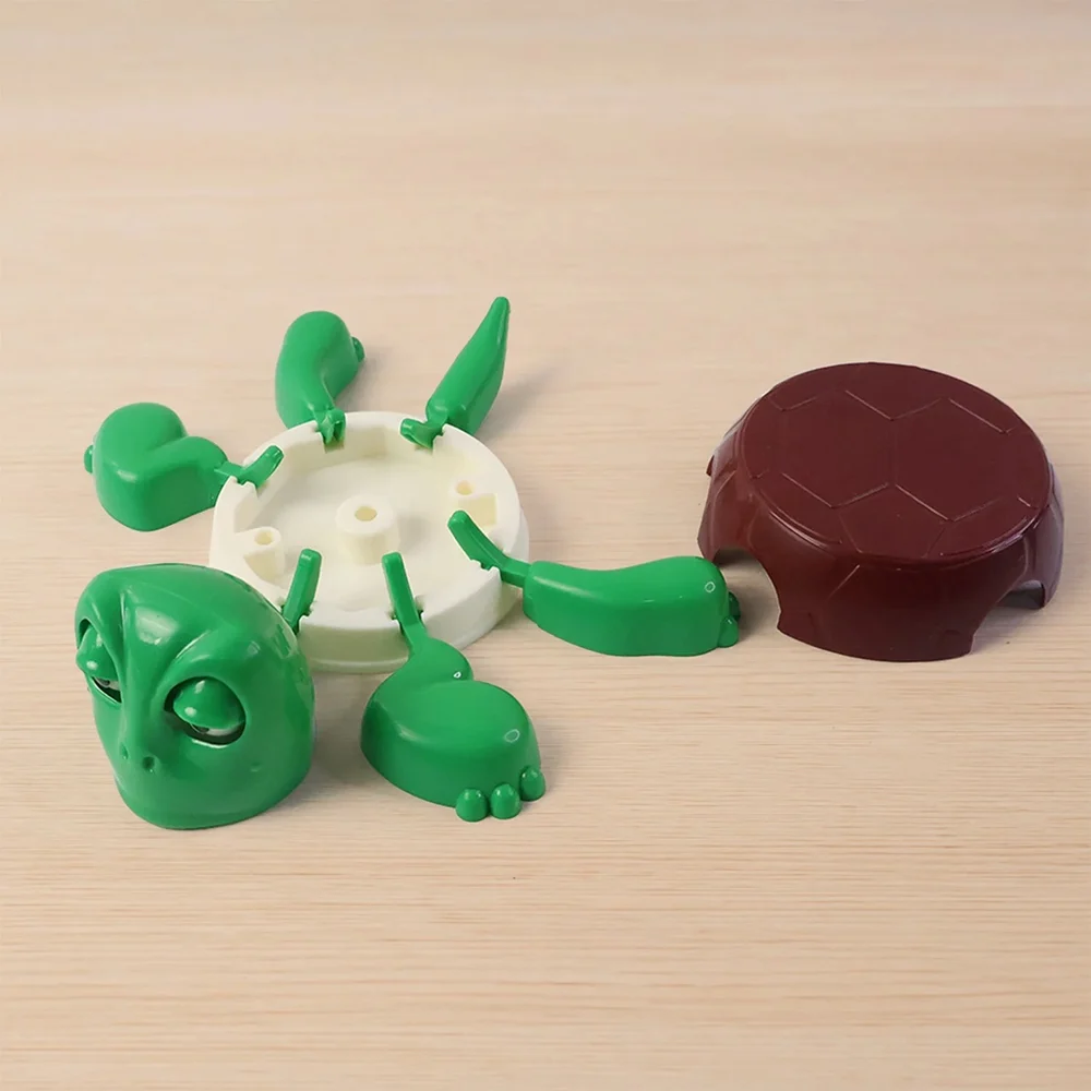 Turtle Cup Coaster Cute